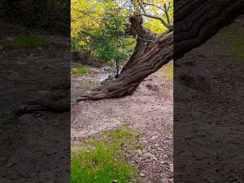 Maravilloso Arroyo Vaquerías, Valle Hermoso, Córdoba, Argentina.#vallehermoso