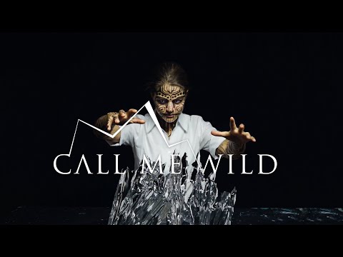 Martin Baltser - Call Me Wild (Official Music Video)