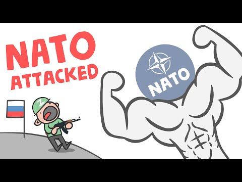 NATO attacked russia (animation)