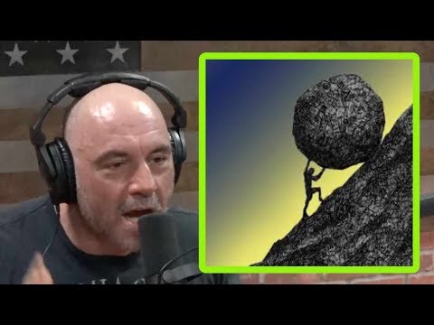 Joe Rogan: Put in the Work!