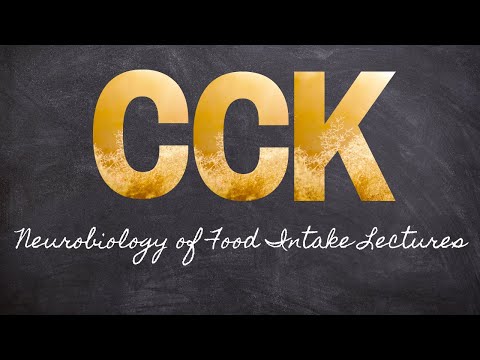 CCK is a Satiety Hormone | Part 8 Neurobiology of Food Intake | Macronutrients Lecture 44