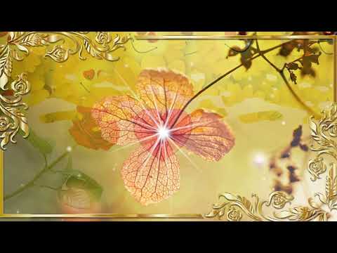 Large Smile Mood by Nico Staf (Youtube Audio Library)