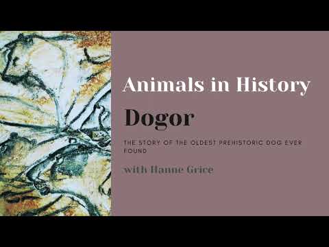 Animals in History - the story of Dogor, the oldest prehistoric dog ever found #dogs #evolution