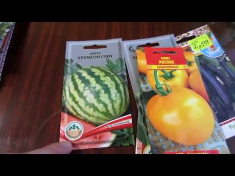 Семена для рассады.В чём лучше прорастить семена перед посадкой.Обзор проверенных сортов и новинок