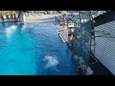 Веселый Август в Ялте 2020