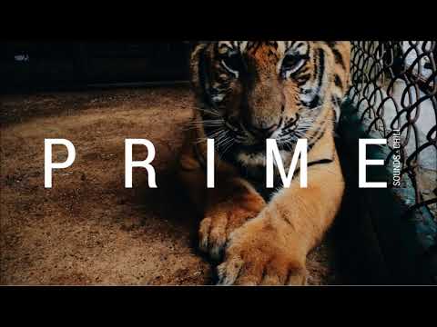 Will Sparks ft. Gloria Kim - Take Me