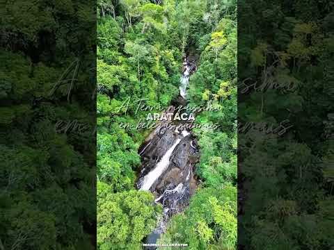 Venha conhecer Arataca Bahia, O paraíso do Sul Baiano ❤️😍😍