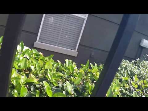 Goodman and Ruud AC Units