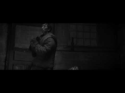 Winter After Winter - Clip | IFFR 2019