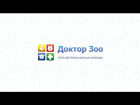 ФРАНШИЗА ВЕТЕРИНАРНОЙ КЛИНИКИ «ДОКТОР ЗОО»