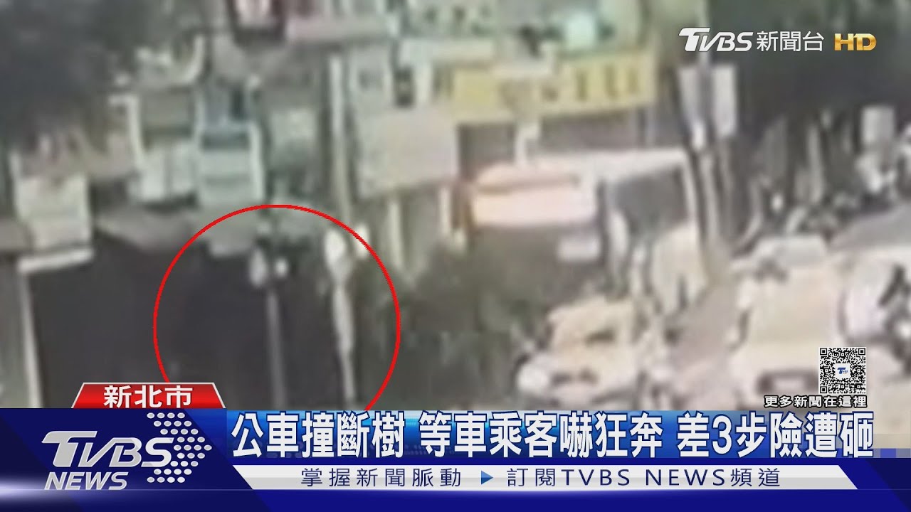 有片／恍神？新店公車「撞斷路樹」乘客嚇壞　驚險瞬間曝