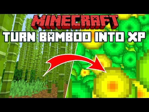 Minecraft 1.14: Making An XP Farm With Bamboo! Video