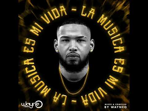 Wayne O - La Musica Es Mi Vida