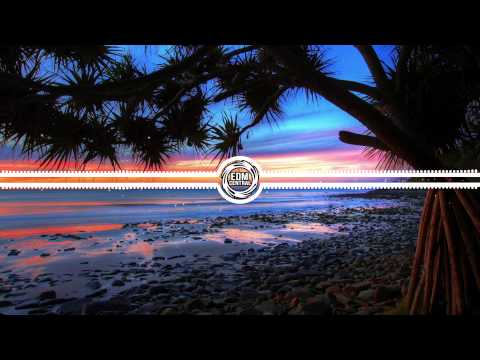 Kuiters X ando - GYPSY