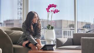 URC Is A Leader In Both Residential And Commercial Automation