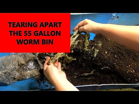 55 GALLON WORM BIN 2020 THE END
