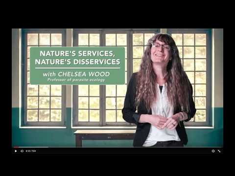 Nature’s services, nature’s disservices