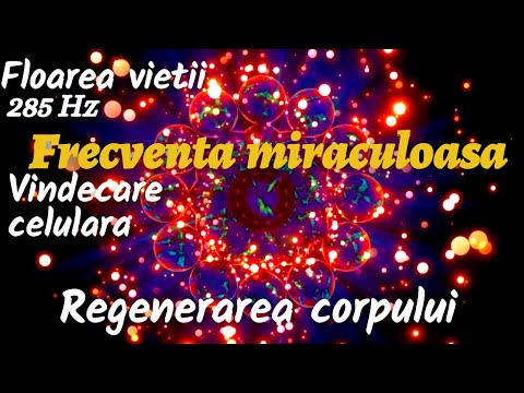 VINDECARE CELULARA | REGENERAREA CORPULUI IN TIMP CE DORMI | 285Hz FLOAREA VIETII