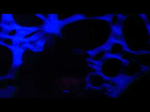 Electric nOiZe vs Telekinetik @ QueensClub Innsbruck