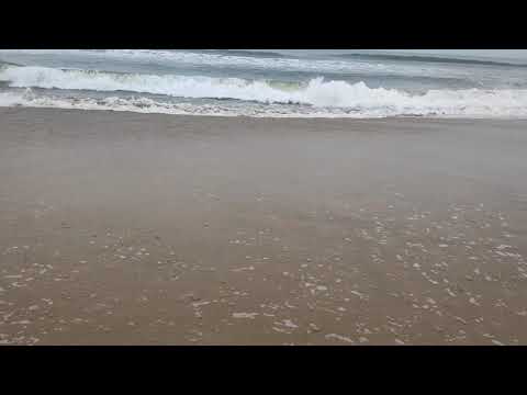 Marina beach-Corona period