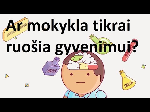 darbai - Fss30 prekybos sistema