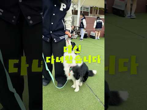 대신 다녀왔습니다!(한국펫고등학교 편)