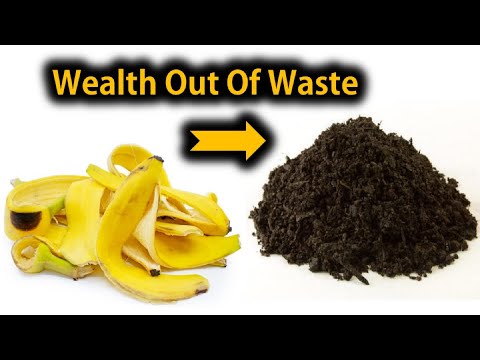 6 Ways To Use Banana Peels In Your Garden As Fertiliser