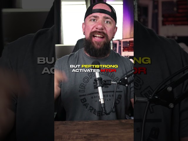 PeptiStrong: Natural Peptide Network from Fava Beans for Muscle Protein Synthesis