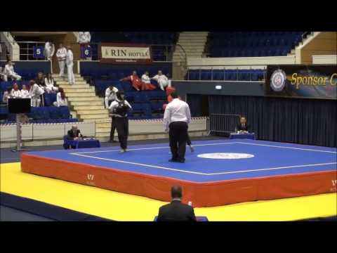 European Traditional Wushu Championships 2013 - The Swiss Wushu Team