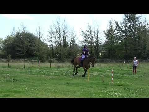 2021.08.14 - Canter poles lesson with Amber (Sony FDR AX53 4k + Pixio) (4)