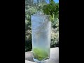The Mojito