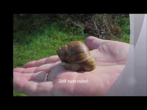 Zeit zum ruhn!