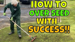 Spreading SEEDING  on a NEW lawn // Repairing Winter Damage in Spring