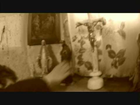 Noctiferia- Evil Against Evil