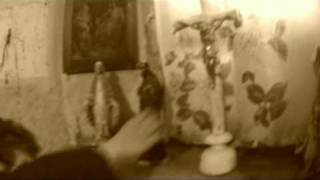 Noctiferia- Evil Against Evil