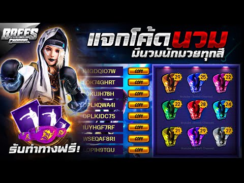 ฟีฟายฟรี