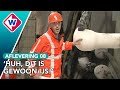IJs in de tunnel!? Dit is waarom | De RijnlandRoute