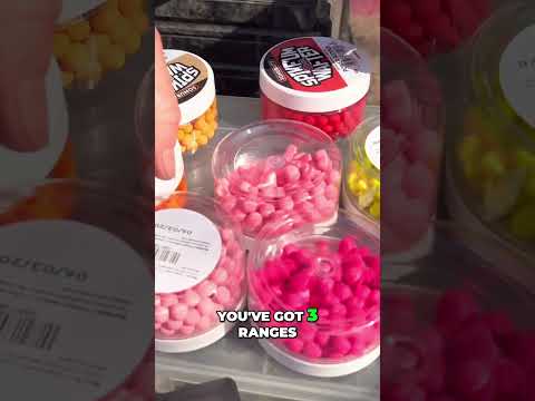 Kulki Sonubaits Spike'um Wafters Salted Caramel 8mm 40g film wideo
