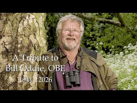 The Renegade Polymath: A Tribute to Bill Oddie