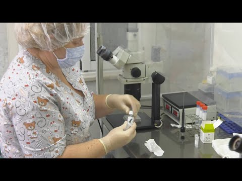 Бесплатное ЭКО видео
