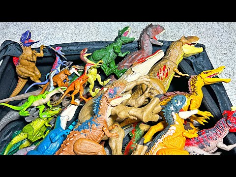 Dinosaurs - Carnivorous Dinosaurs T-Rex, Spinosaurus, Carnotaurus, Velociraptor, Albertosaurus