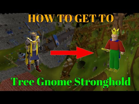 [OSRS] How to get to Tree Gnome Stronghold - 1-99 Travel guide - Fastest/AFK/Profit methods