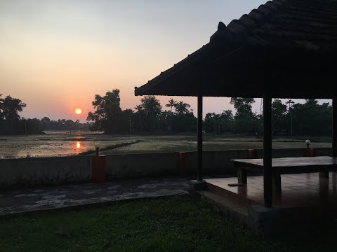 Kerala, India: Ayurvedic Campus