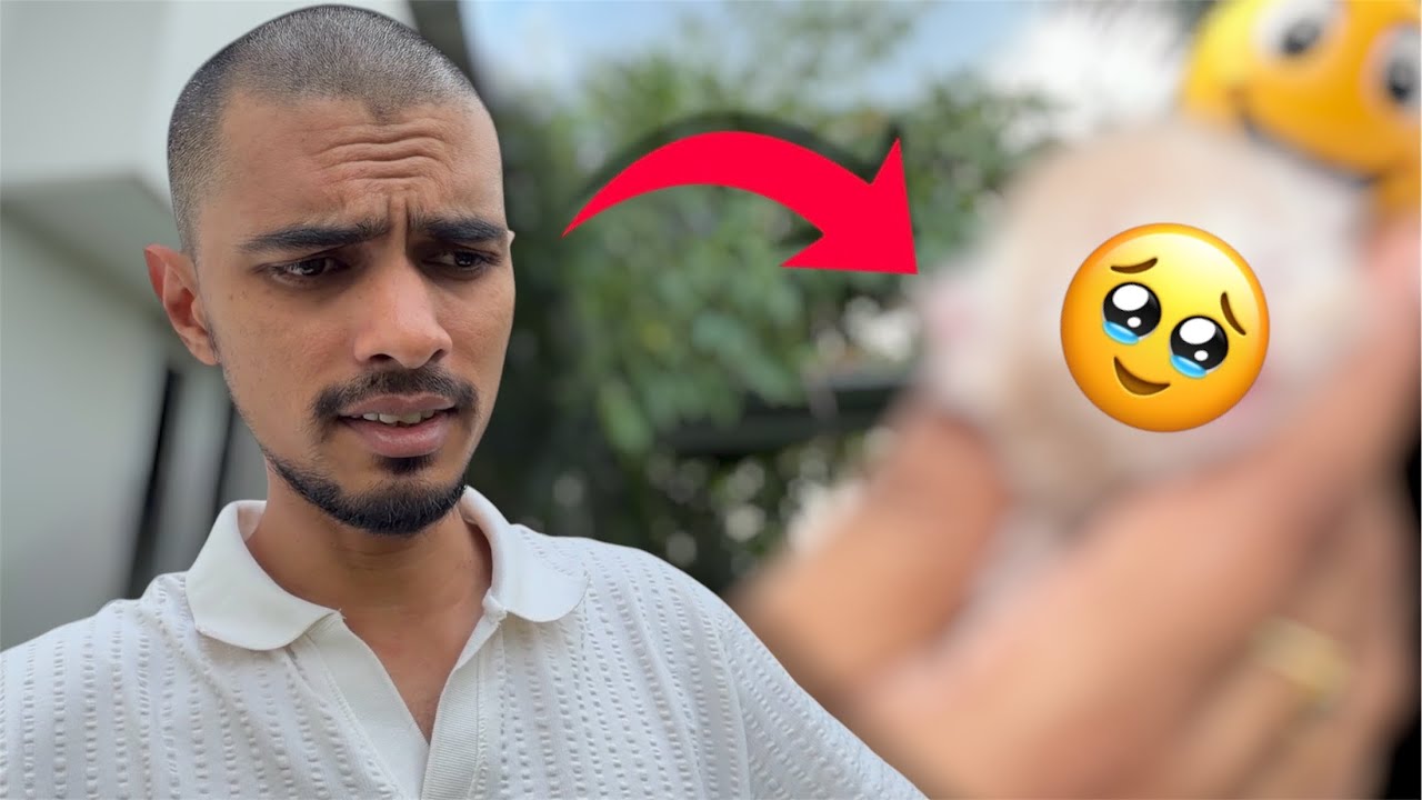 NEW MEMBER வந்தாச்சு..🥹 ( SURPRISE )😮