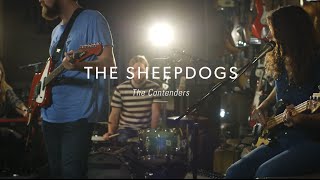 The Sheepdogs "The Contenders" At Guitar Center