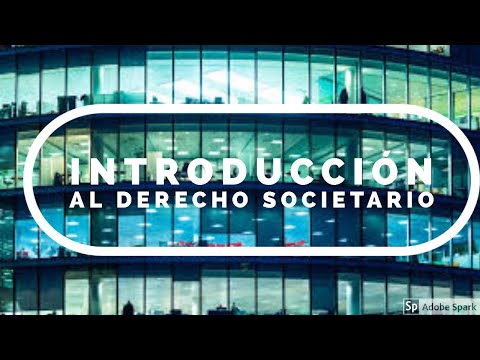Introducción al Derecho Societario