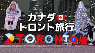 真冬のカナダ旅行！凍ったナイアガラの滝！