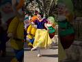 Snow White Dance With 7 Dwarfs ‍ ️ Snowwhite Disney Disneyprincess Travel Shorts