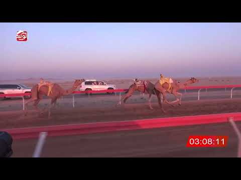  ش 4 (متعب) لـ سالم مطر بن سعيد الدرعي 4:39:09 ، مهرجان العين 2026/07/07 لقايا الوقن