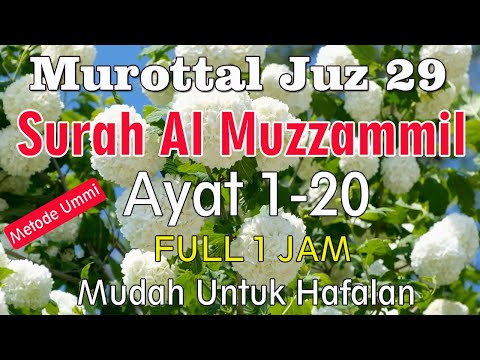 Surat Al Muzzammil Metode Ummi | murottal juz 29 surat al muzzammil